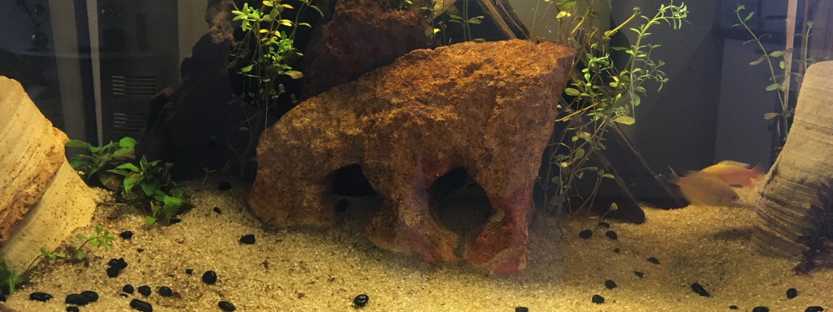 aquarium Aqualantis