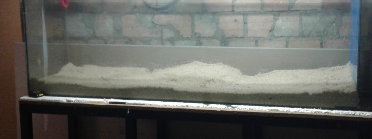 aquarium 600l
