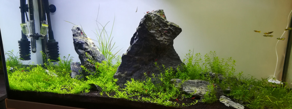 aquarium Le Grand RC
