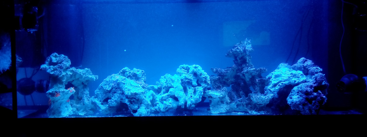 aquarium 1er recifal