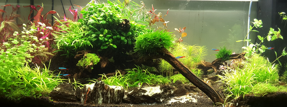 aquarium Rio 180
