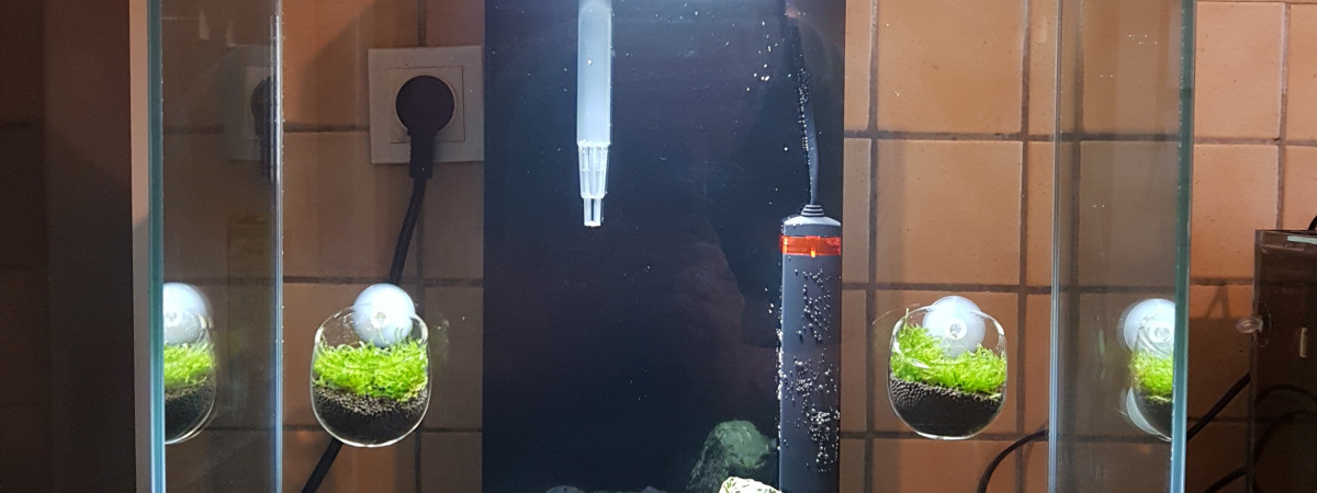 aquarium Aquacuisine