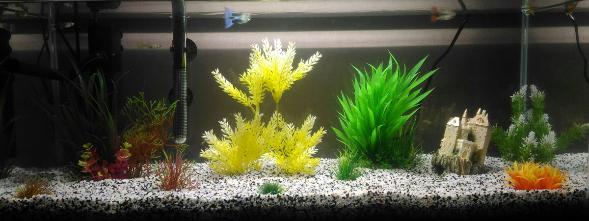 aquarium Guppy world