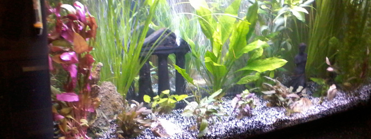 aquarium Aquarium 130 litres