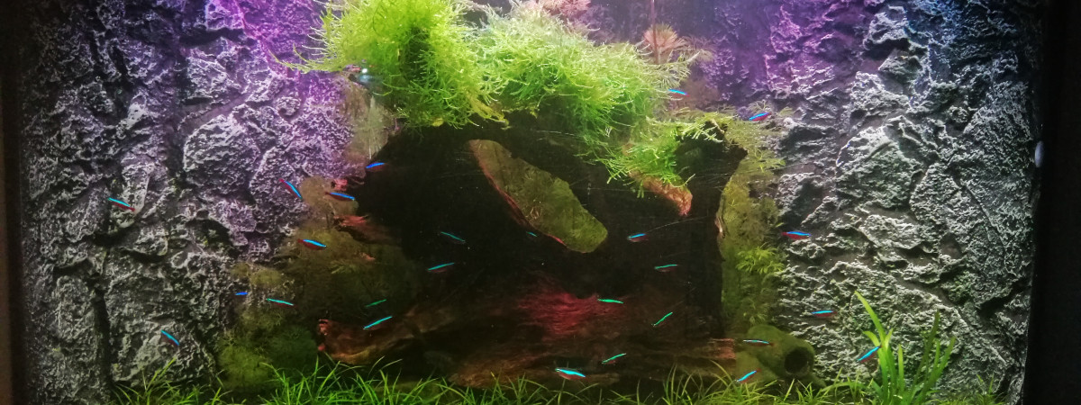aquarium Juwel 190