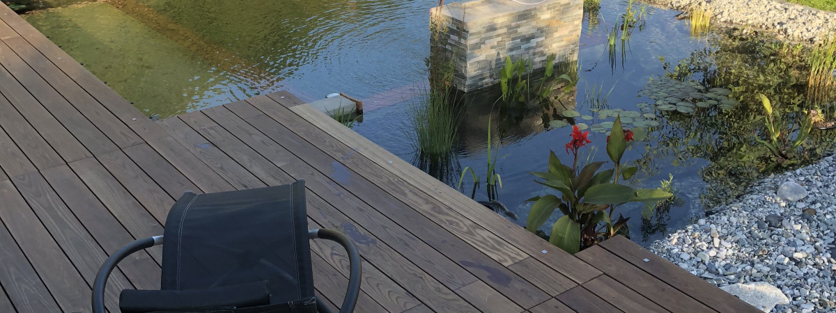 aquarium Piscine naturelle