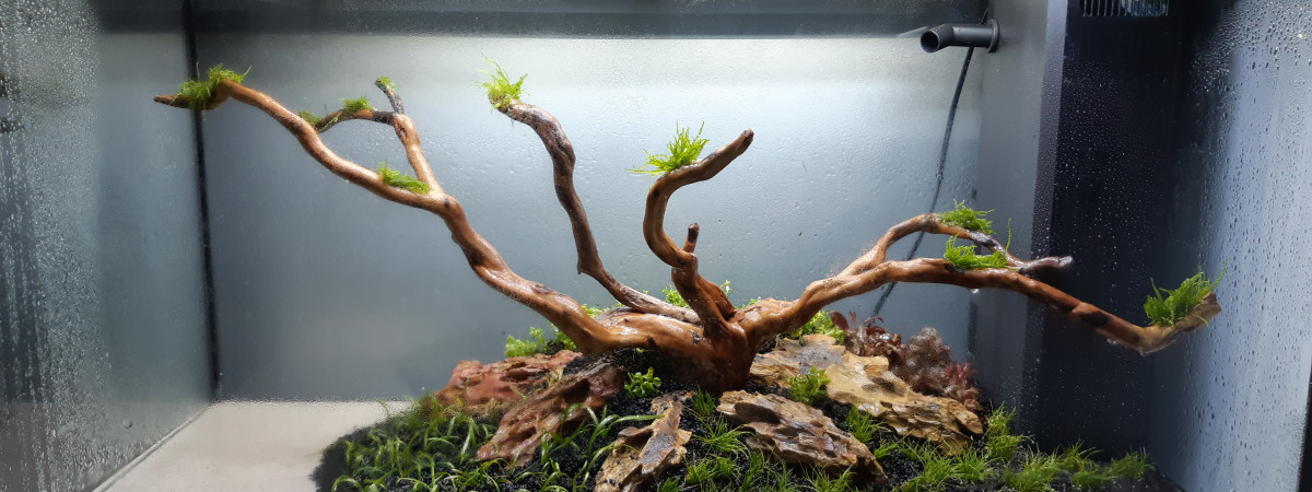 aquarium Rio125