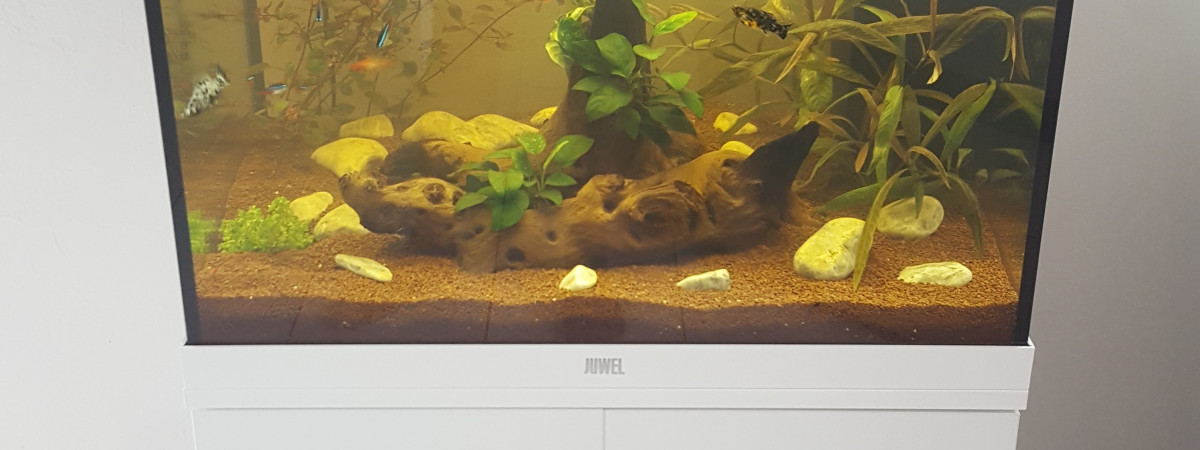 aquarium Juwel Lido 120