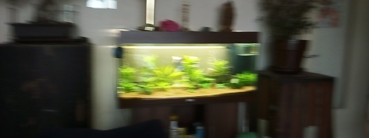 aquarium 180litre