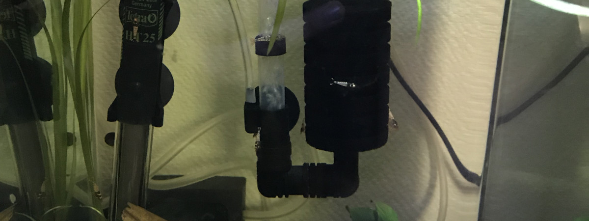 aquarium Aquarium TWB mixtes