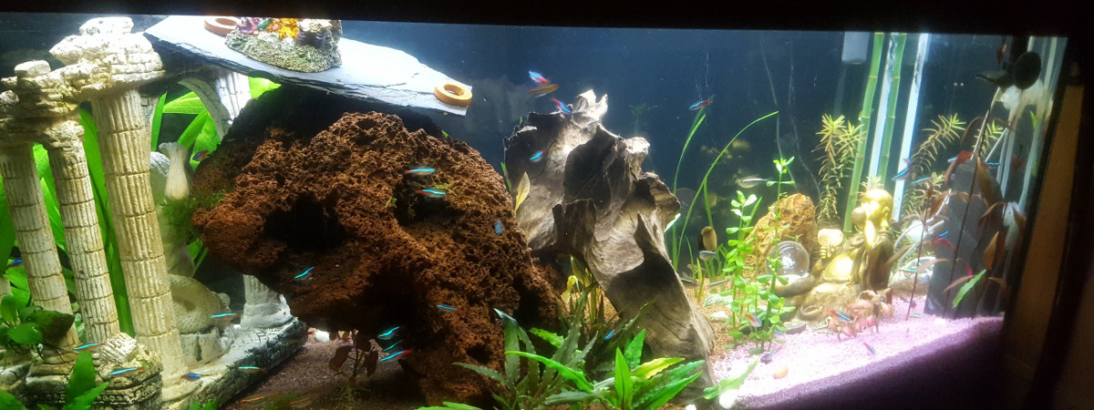 aquarium 160Litres