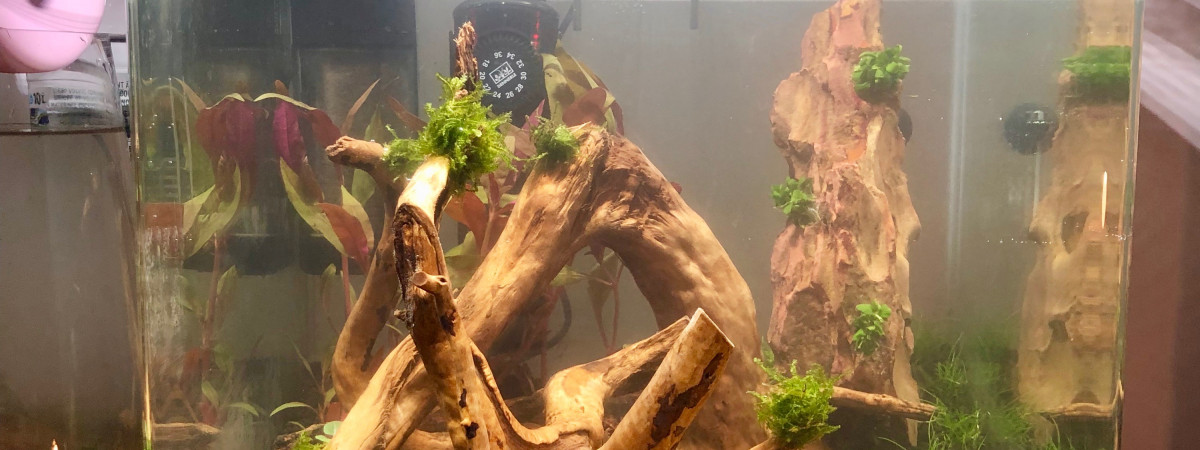 aquarium nano30
