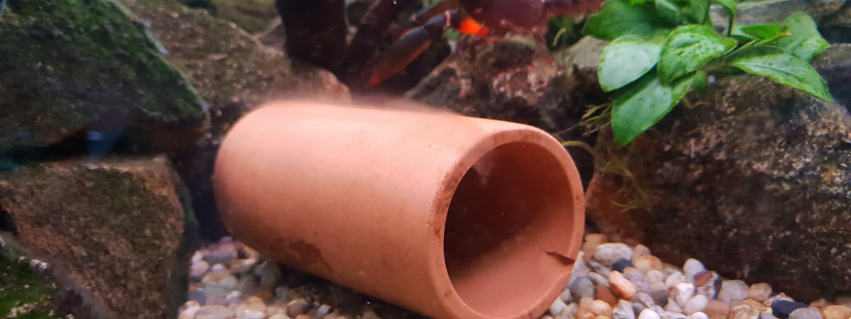 aquarium 400l