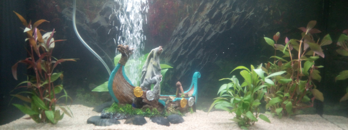 aquarium Premier aqua