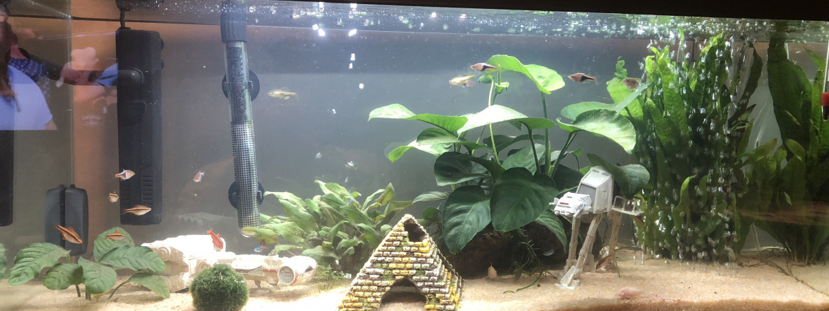 aquarium Star Wars