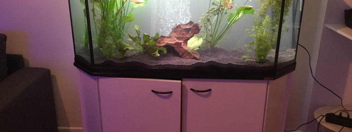 aquarium Aqua 300