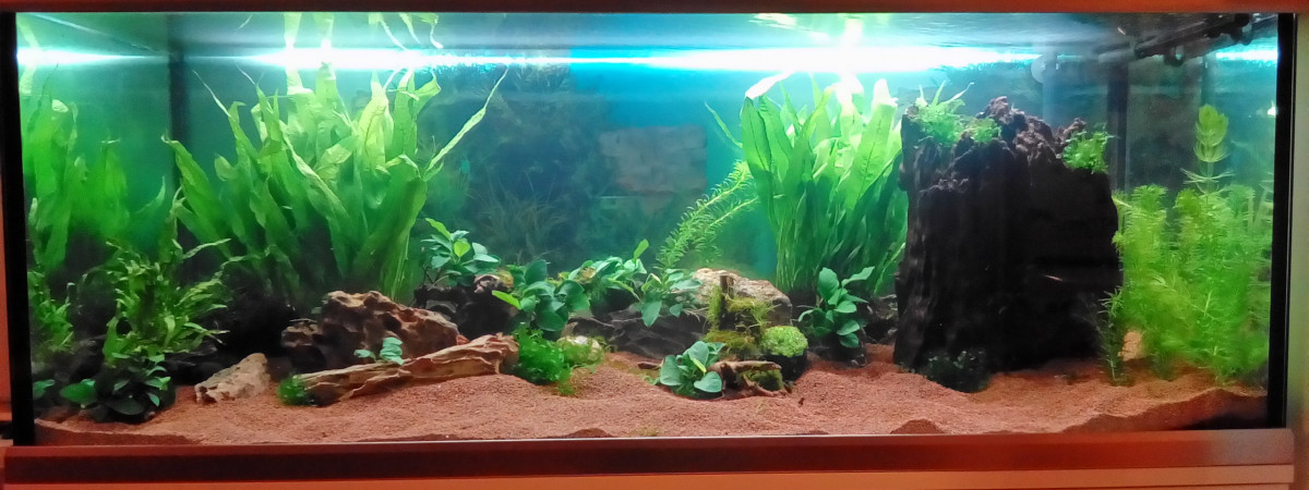 aquarium 325 l xiphos