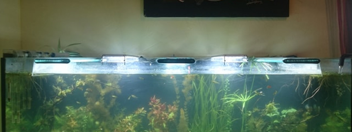 aquarium mon quaqua