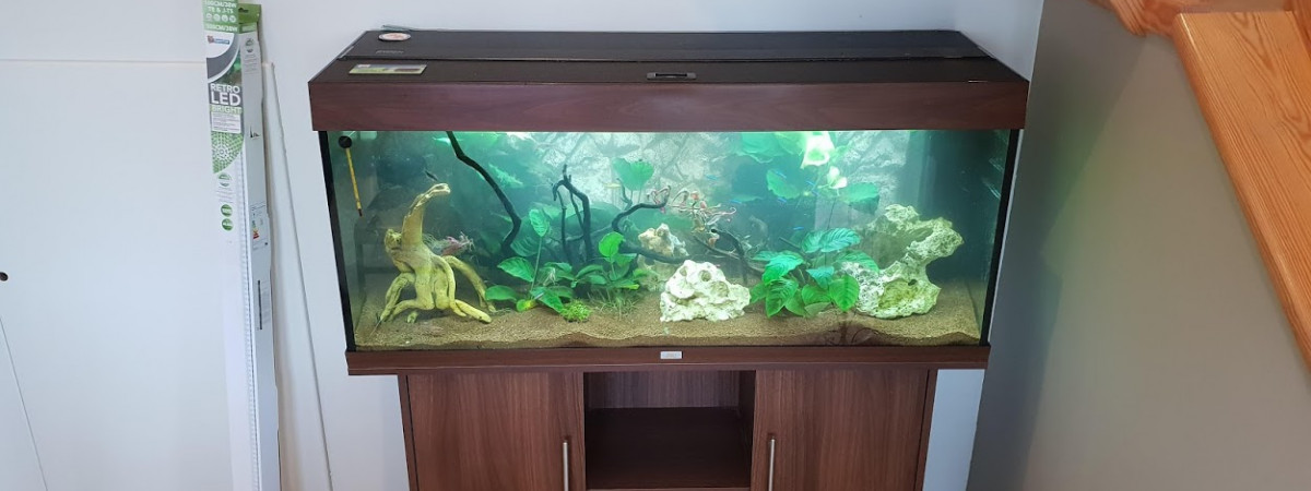 aquarium Padré