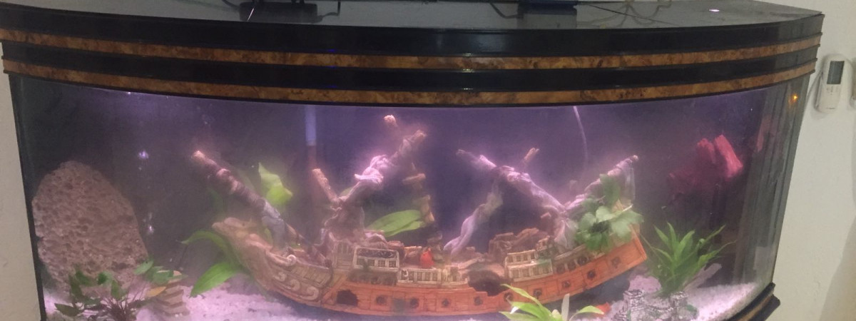 aquarium Héritage
