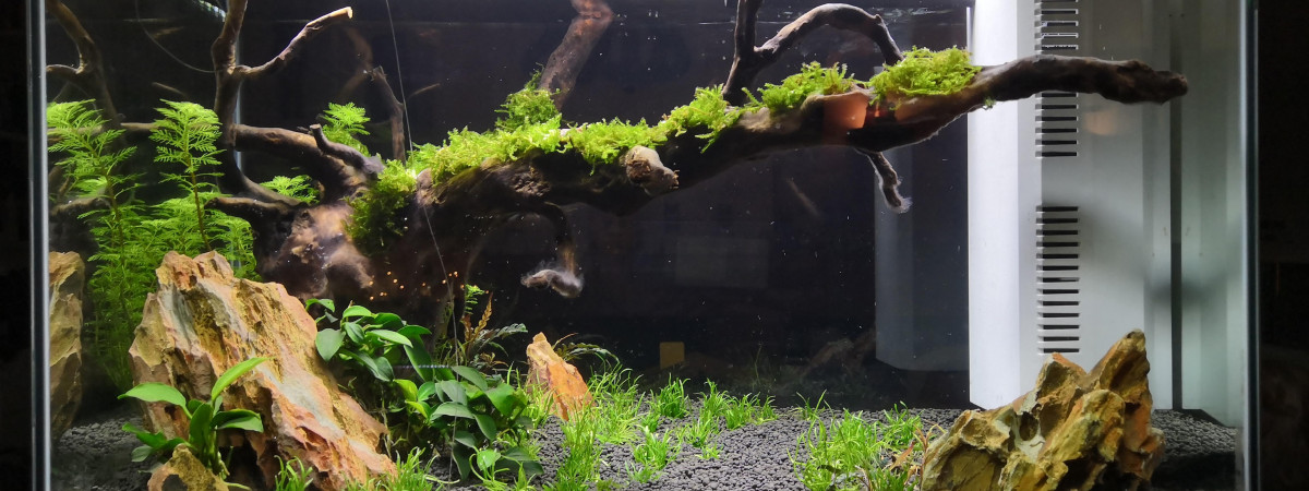 aquarium HOME 60