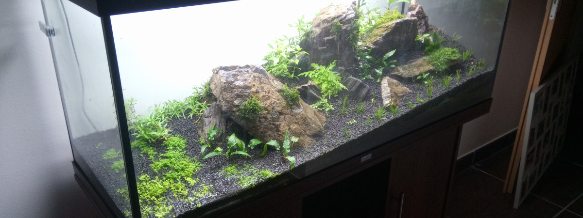 aquarium Rio 240