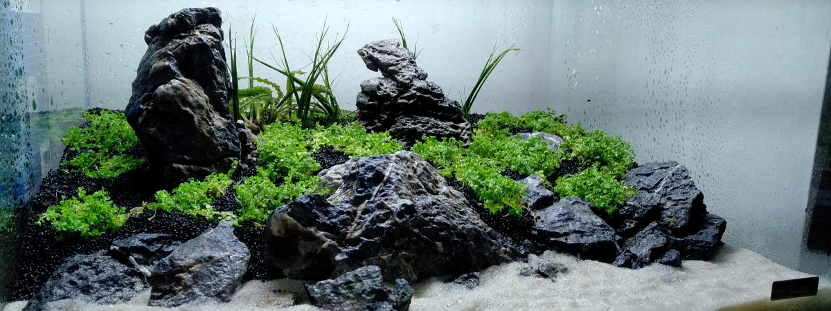 aquarium Dennerle Tank 35L