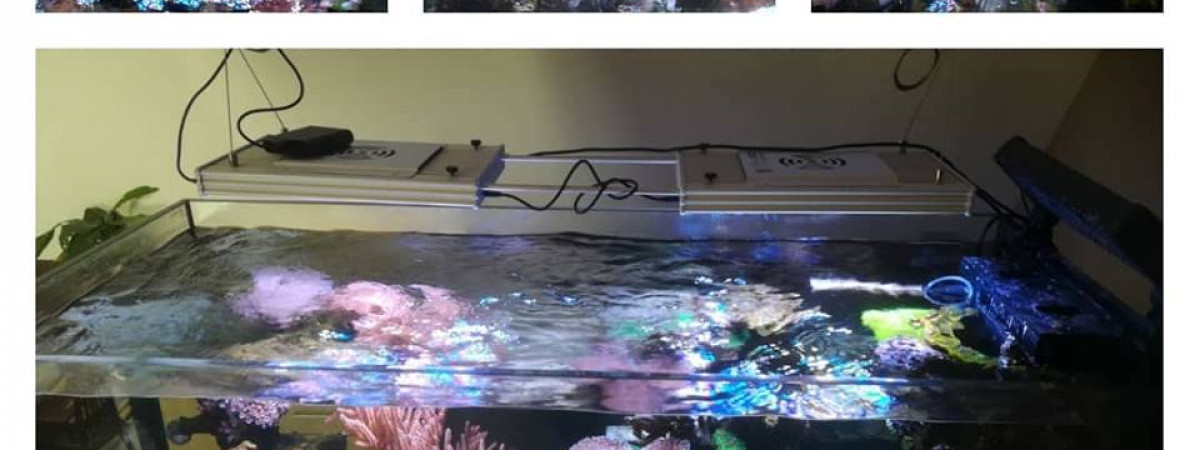 aquarium Peninsula 500