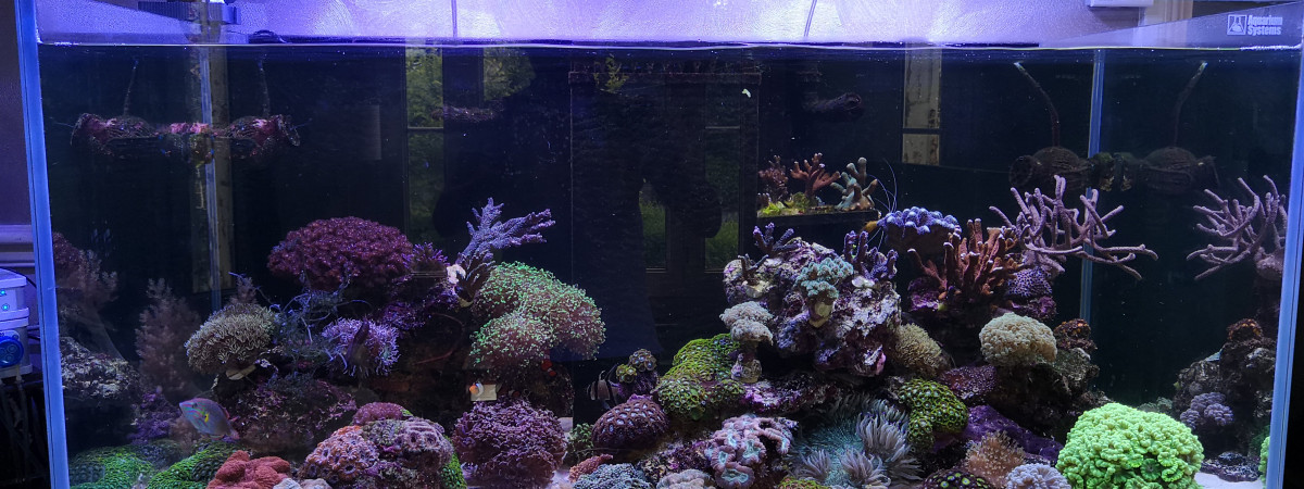 aquarium Aquarium System 570