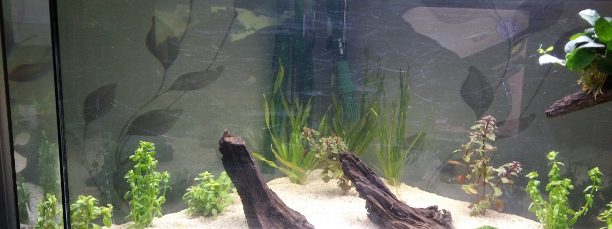 aquarium Rousseau