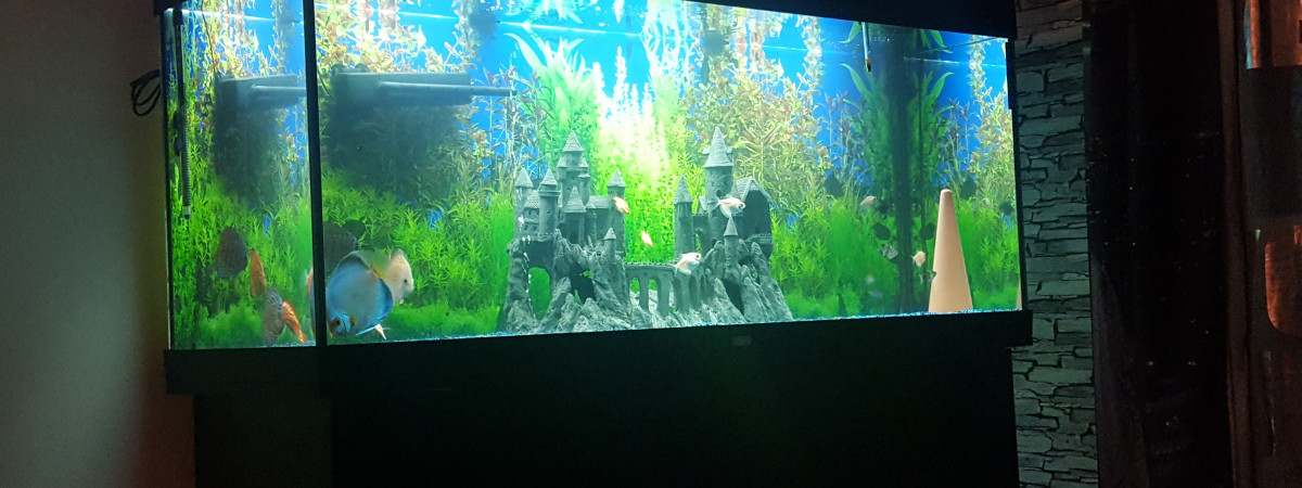 aquarium Franck