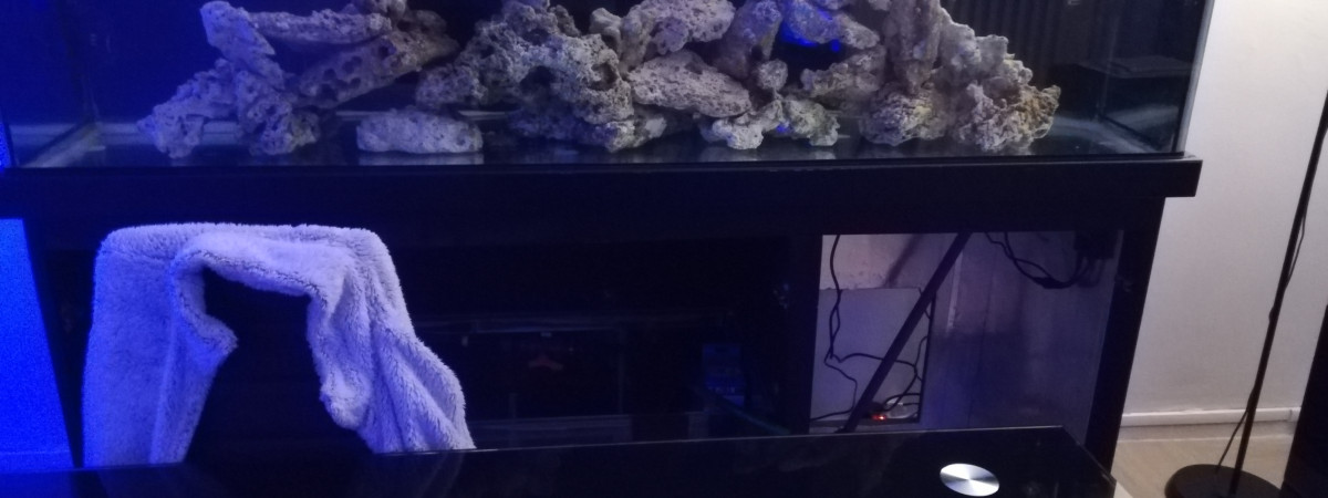 aquarium Bac récifal 650l 240l de decante