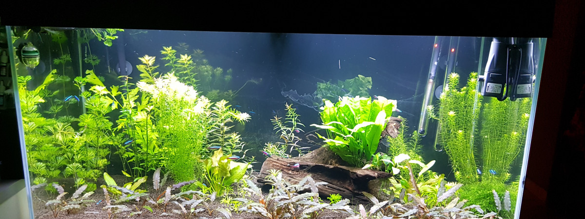 aquarium Rio 180