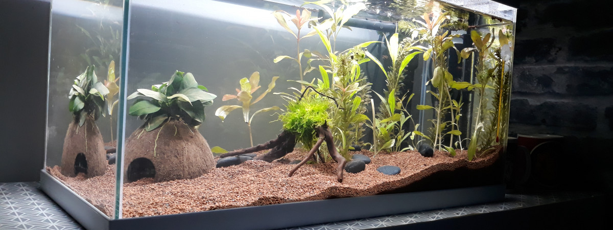 aquarium Bac 60L