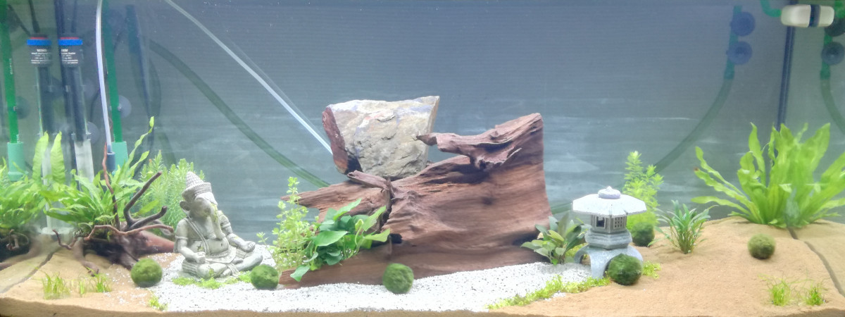 aquarium Kdo