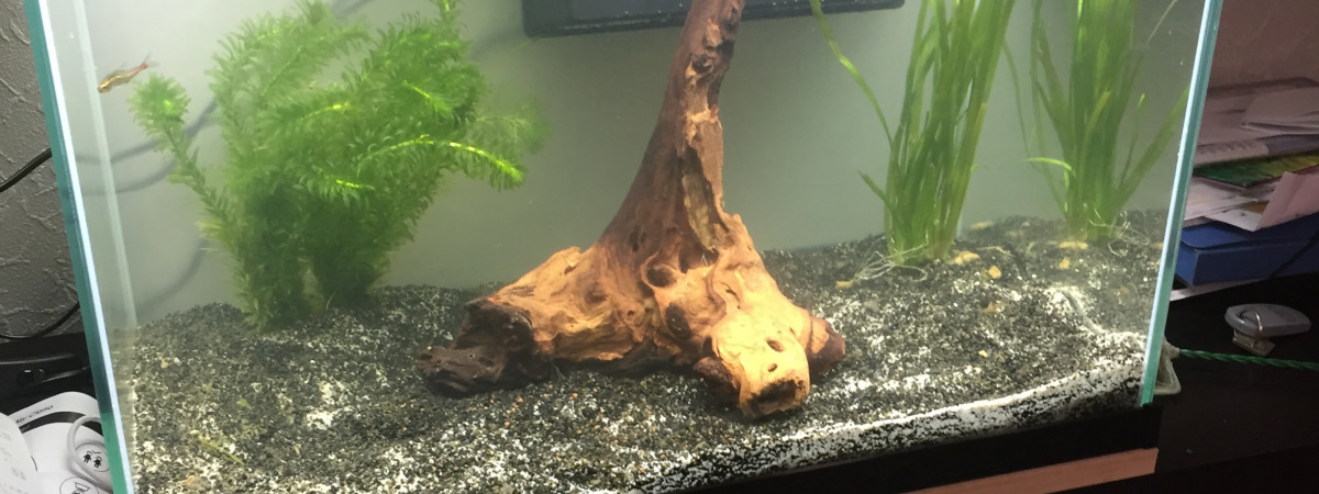 aquarium Bac100l