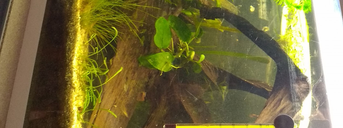 aquarium Mon 70L