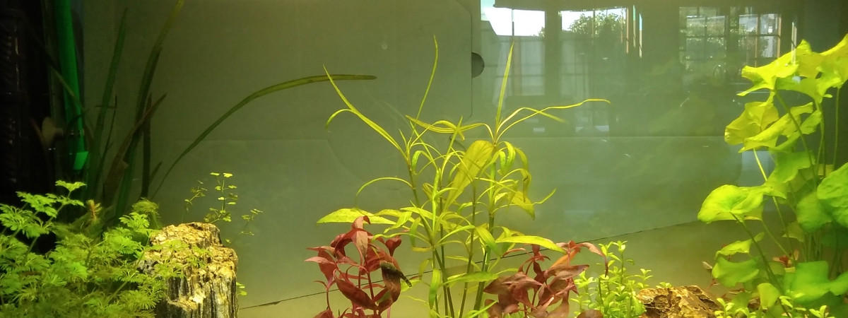 aquarium NathFa