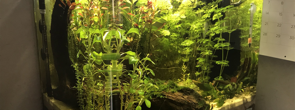 aquarium Dennerle 55L