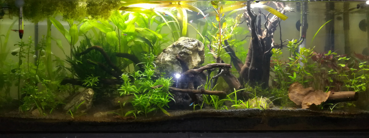 aquarium Aqua 120L