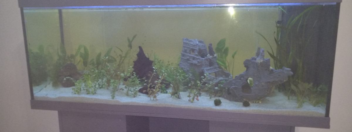 aquarium 450L