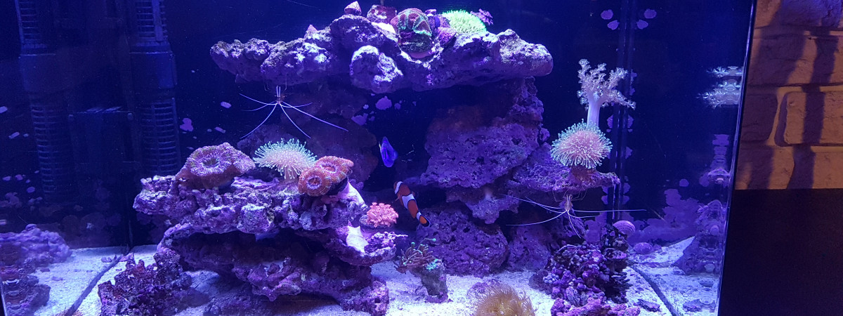 aquarium Mon RS 130