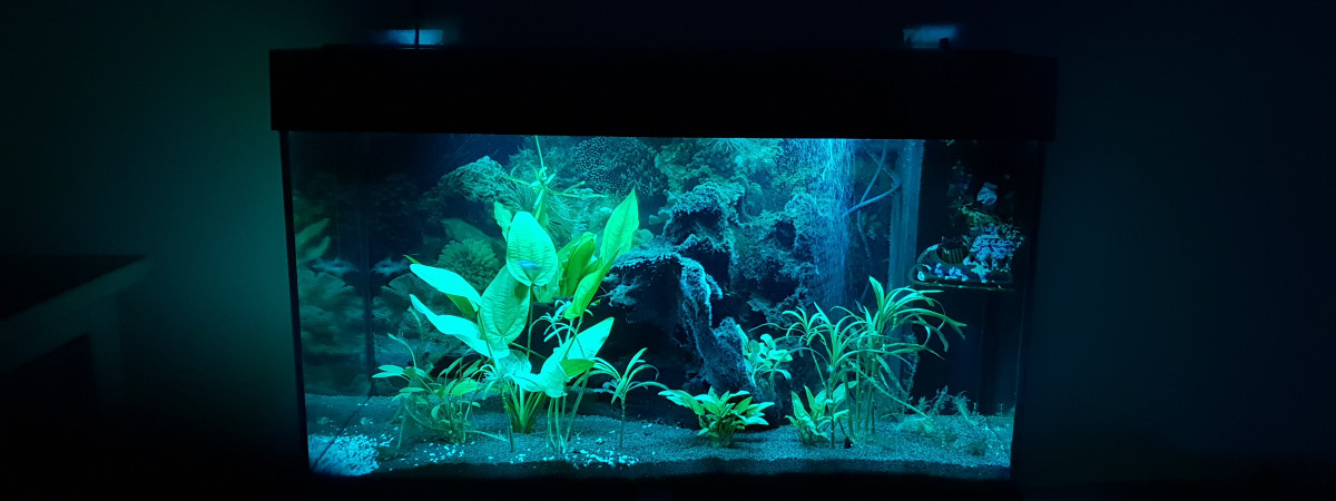 aquarium Seb