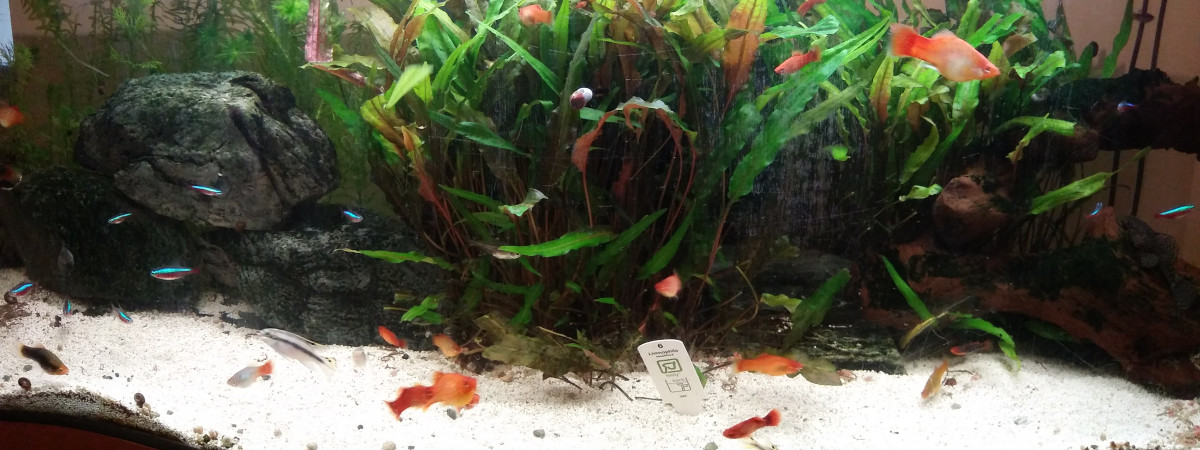 aquarium Aquarium 130L