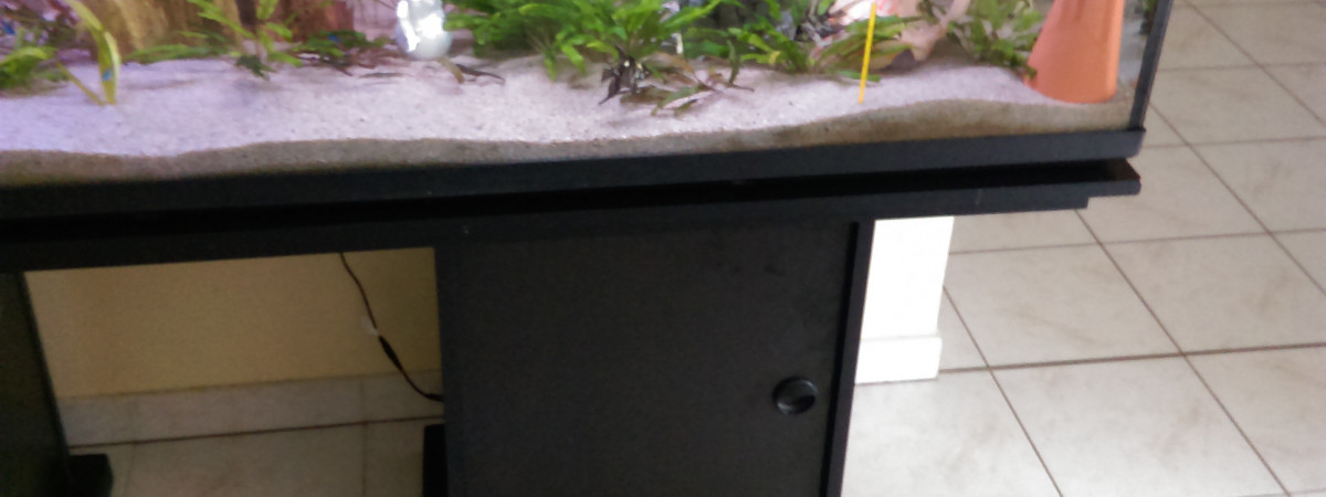 aquarium Scalaires 600l
