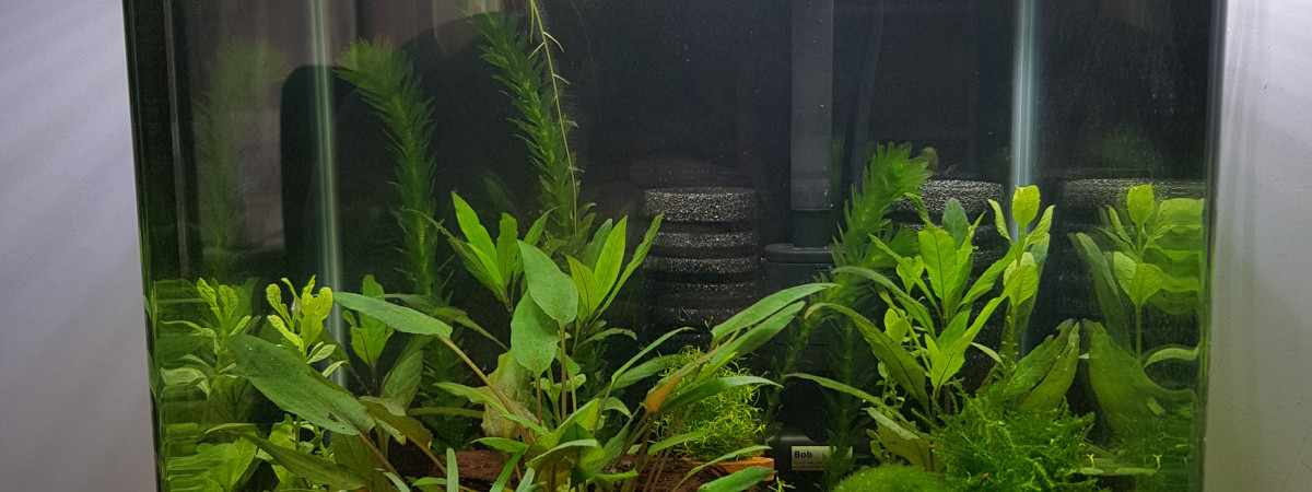 aquarium Nano 30l