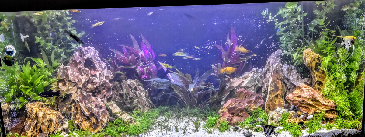 aquarium AQUARIUM VIVALINE LED