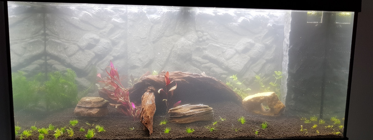 aquarium JUWEL