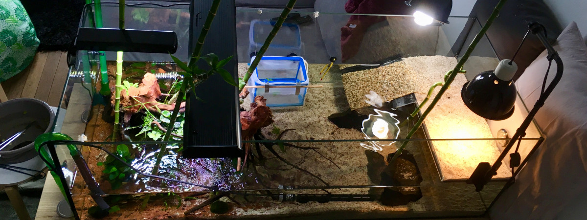 aquarium AquaTerra