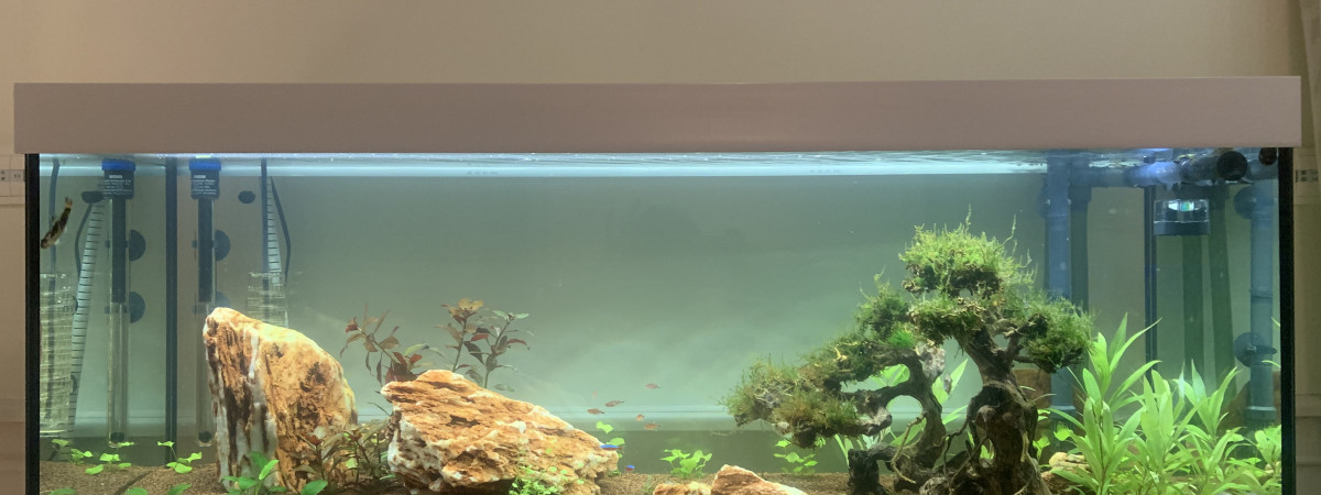 aquarium Eheim 240